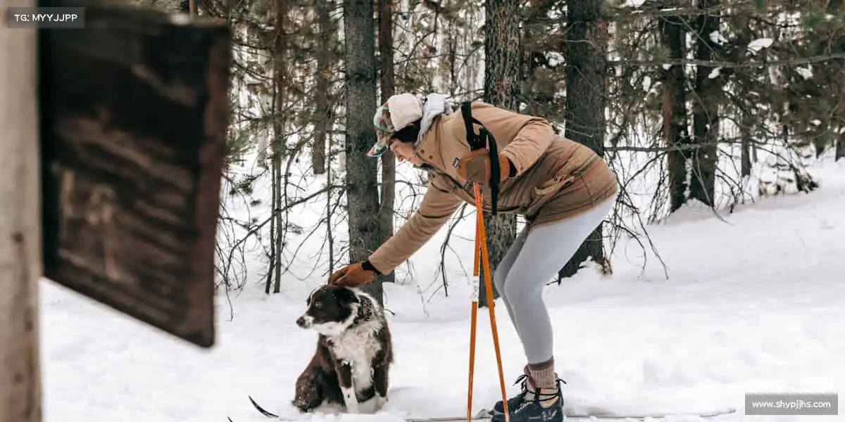 为什么选择我们